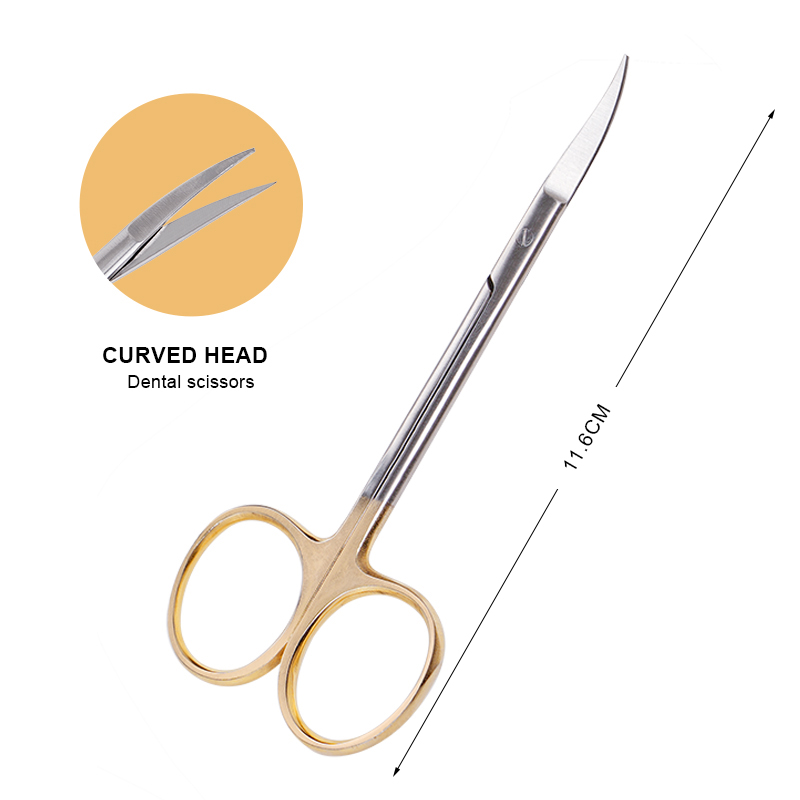 Gunting bedah gigi Stainless S - Medical Scissors ulasan dan harga
